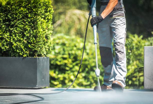 Best Animal Enclosure Cleaning  in Greer, SC